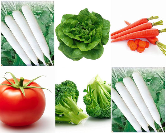 Winter Vegetables Seeds (Pack Of 10) Seeds Vegetables Packet - Excellent Germination - Healthy Vegetable Umbiz