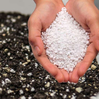 Perlite for Plants – Lightweight Soil Amendment for Improved Drainage, Aeration, and Root Growth | Organic Gardening, Potting Mix, and Hydroponics Essential Umbiz