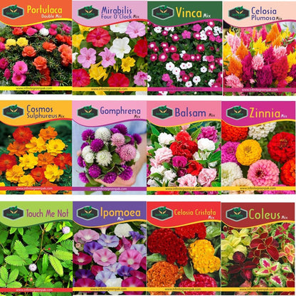 Random Summer Flowers Seeds (Pack Of 10) - High Quality Colorful Flower Seeds Umbiz