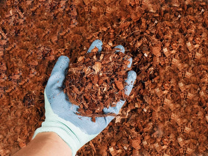 Coco Husk Chips 1kg – High Quality Organic Coconut Chips for Plants, Potting Mix & Gardening Use