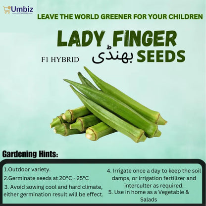 Top Quality Fresh Hybrid Lady Finger Seeds - Easy to Grow, High Nutrition Umbiz