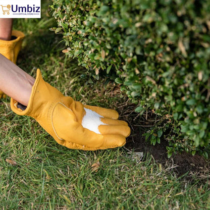 Westland Epsom Salt for Plants (500g) – Magnesium Sulfate for Healthier Plants, Greener Leaves, and Vibrant Blooms | Essential Nutrient Boost for Gardens and Houseplants Umbiz