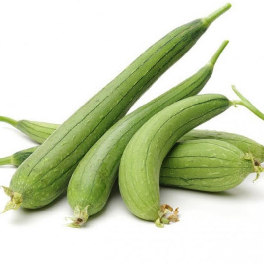 Top Quality Hybrid Torayi Seeds - Easy to Grow, High Nutrition Umbiz