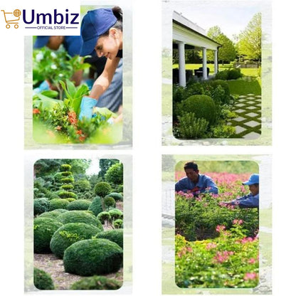 Pack of 3 Gardening tool set Wooden Handle - Set of 3 Piece Colorful Garden Tool set - High Quality Gardening Tool Set Umbiz