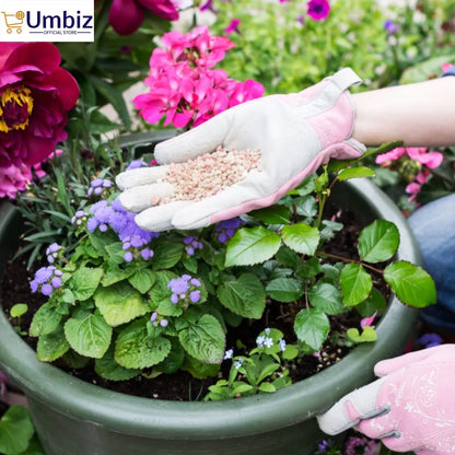 Marshall Indoor Plant Fertilizer (250g) – Premium Plant Food for Lush Foliage and Healthy Growth | All-Purpose Nutrient Boost for Houseplants Umbiz