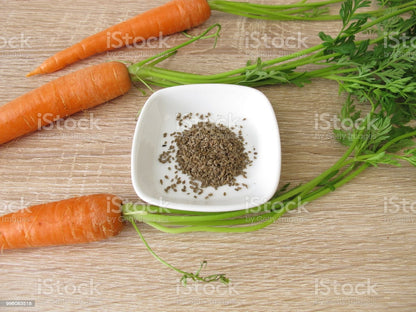 Carrot (Gajjar) Vegetables Seeds - Seeds Vegetables Packet - Excellent Germination - Healthy Vegetable Umbiz