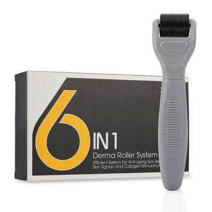 6 in 1 Derma Roller