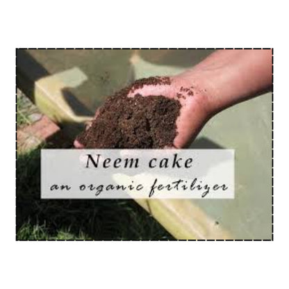 Neem Cake Organic Fertilizer 1 Kg PACK - Best Insecticide/Fungicide Fertilizer