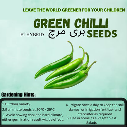 Top Quality Fresh Hybrid Green Chilli Seeds - Easy to Grow, High Nutrition Umbiz