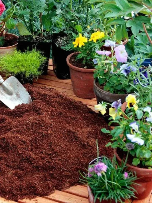 Coco Peat 2 kg – Organic Cocopeat for Seedlings & Seed Sowing Mix | Ready to Use Potting Soil & Potting Mix | Natural Soil Conditioner with Moisture Retention for Healthy Root Organic Growth | Ideal for Home Garden & Nursery Use Umbiz
