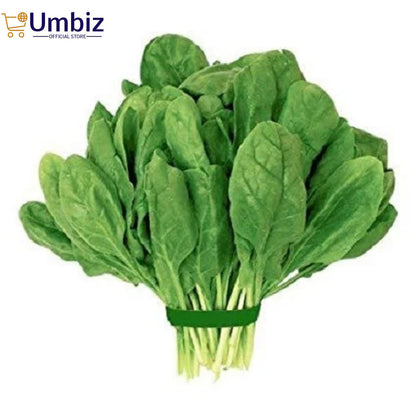 Spinach (Palak) Vegetables Seeds - Seeds Vegetables Packet - Excellent Germination - Healthy Vegetable