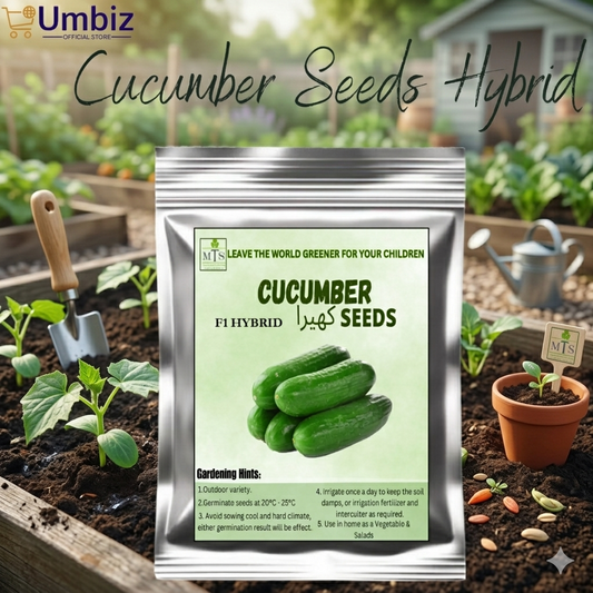 Hybrid Cucumber Seeds ( Kheera ) – Fresh, High Yield & Fast Growing Vegetable Seeds | Disease-Resistant, Easy to Grow, Quick Germination | Ideal for Home & Kitchen Garden, Pickling, Salads, Organic, Full Sun, Early Harvest, Continuous Yield Umbiz