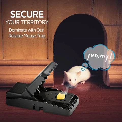 Reusable Mouse Trap Perfect Solution for Mouse | Strong Snap Rat Trap for Quick Rodent Catching | Durable Plastic Rat Killer Trap for Home, Kitchen & Office | Safe Non-Toxic Easy Set Mouse Trap | Washable Smart Rodent Control & Pest Catcher Tool UMBIZ