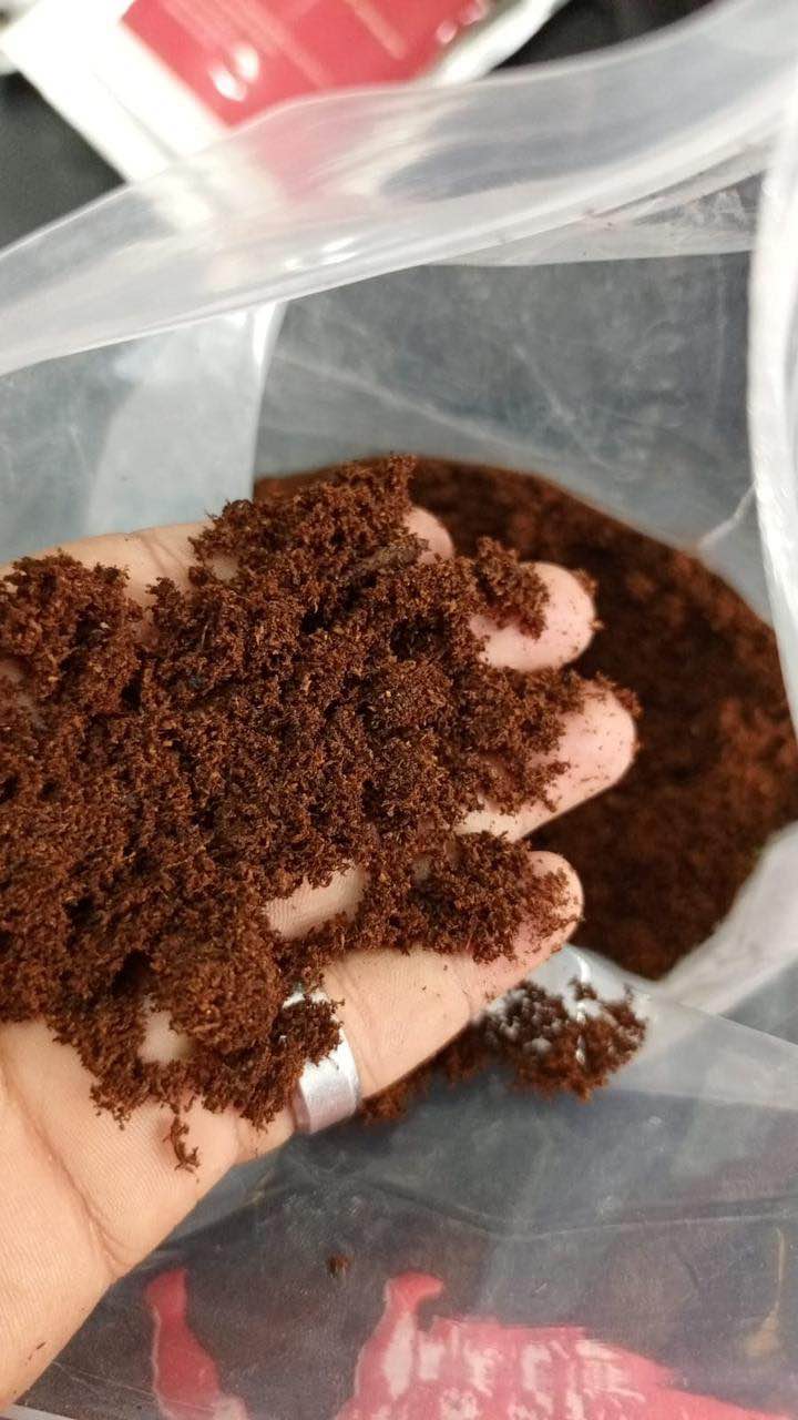 Coco Peat 2 kg – Organic Cocopeat for Seedlings & Seed Sowing Mix | Ready to Use Potting Soil & Potting Mix | Natural Soil Conditioner with Moisture Retention for Healthy Root Organic Growth | Ideal for Home Garden & Nursery Use Umbiz