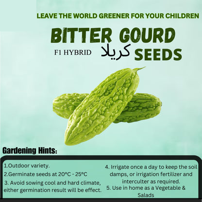 Top Quality Fresh Hybrid Bitter Gourd (Karela) Seeds - Easy to Grow, High Nutrition Umbiz