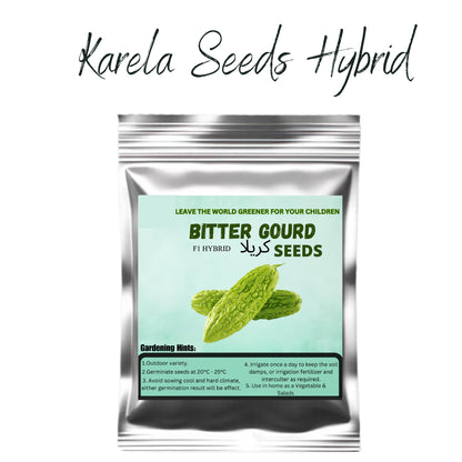 Top Quality Fresh Hybrid Bitter Gourd (Karela) Seeds - Easy to Grow, High Nutrition Umbiz