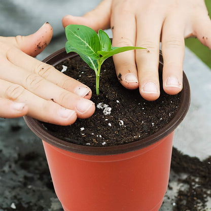 10Pcs Paper Plastic Flowerpot Flower Nursery Pots Garden Seedling Planter Container(DEPTH 3 INCHES-LENGTH 4 INCHES -WIDHT 4 INCHES) Umbiz