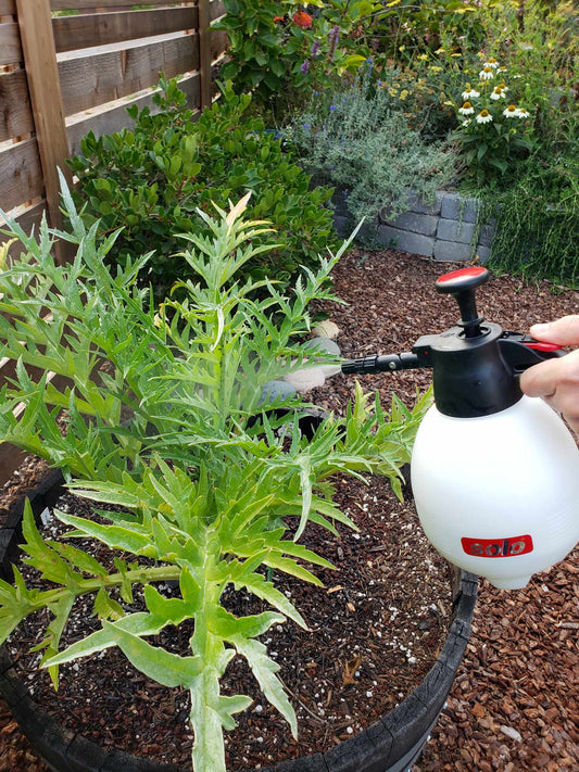 Neem Oil For Plants Fungicide/Miticide - Garden Insecticide (100 ML BOTTLE) Plant Insecticides