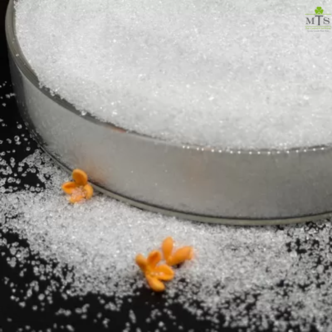 POWER GROW Epsom Salt With Crystals For Plants 500 Grams Pack - Natural Mineral Fertilizer - Epsom Salt Bath (USA IMPORTED) Umbiz
