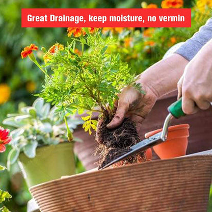 WESTLAND GRO-SURE PERLITE 150 GRAMS PACK (USA IMPORTED) GRADE 2 Umbiz