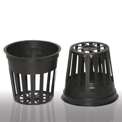 Net Cups for Hydroponics 2 Inch ( PACK OF 10) Umbiz