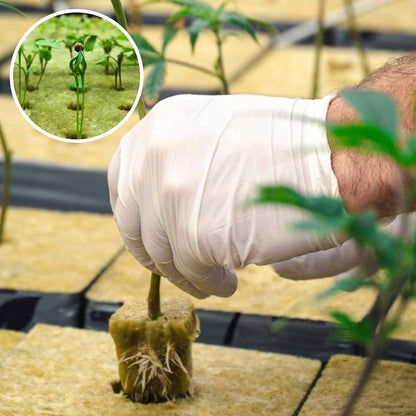 HYDROPONICS GRODAN Rockwool Hydroponic Grow Media Starter Cubes Plugs – (1″ x 1″ – 50 PLUGS)” Umbiz