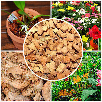 Coco Husk Chips 1kg – High Quality Organic Coconut Chips for Plants, Potting Mix & Gardening Use