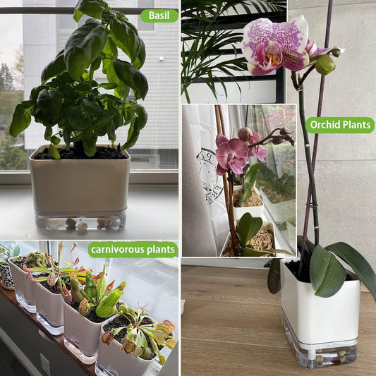 Set of 4 Self Watering Square Pots (Without Plant) | Home Decor, Living Room, Table Top
