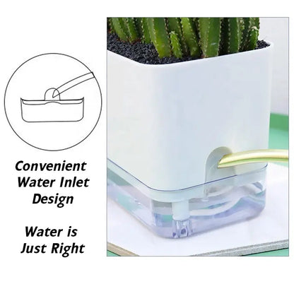 Self-Watering Pots for Indoor & Outdoor Plants -Square Shape Elegant Design - Home Decor (Pack Of 1) *Plant not included* Umbiz