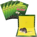 Mouse Glue Trap - Rat Killer Glue Mat - Expert Rat Killer Glue Mat Mouse Book (Pack Of 3 ) Umbiz