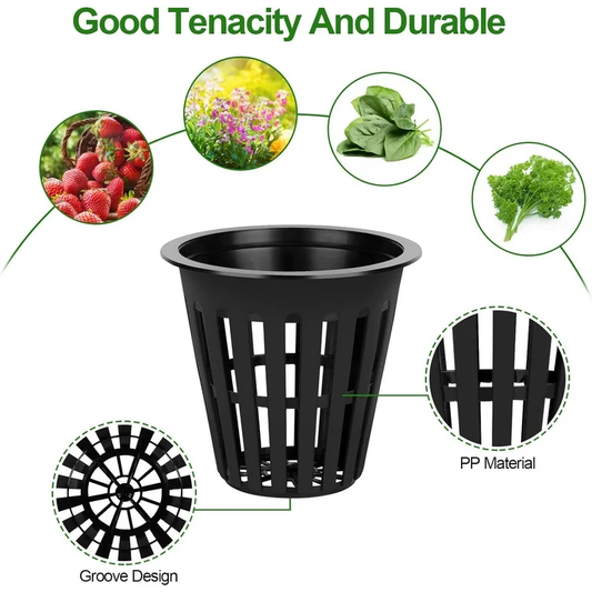Net Cups for Hydroponics 2 Inch ( PACK OF 10) Umbiz