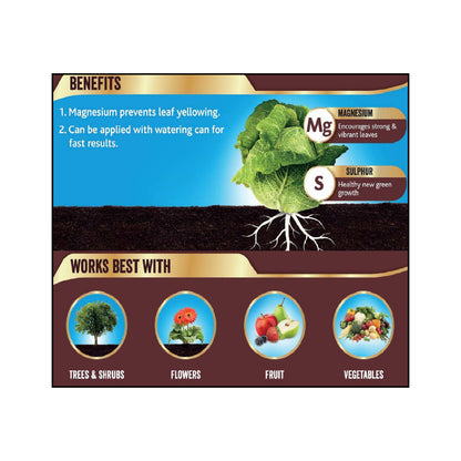 Westland Epsom Salt for Plants (500g) – Magnesium Sulfate for Healthier Plants, Greener Leaves, and Vibrant Blooms | Essential Nutrient Boost for Gardens and Houseplants Umbiz