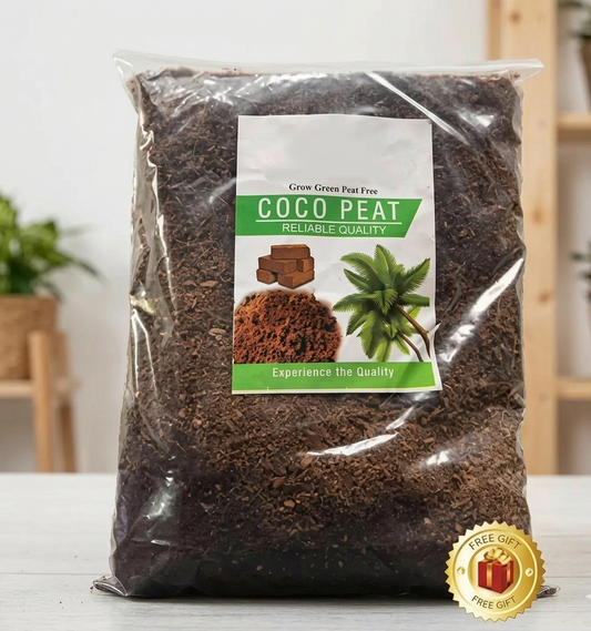 Coco Peat 2 kg – Organic Cocopeat for Seedlings & Seed Sowing Mix | Ready to Use Potting Soil & Potting Mix | Natural Soil Conditioner with Moisture Retention for Healthy Root Organic Growth | Ideal for Home Garden & Nursery Use Umbiz