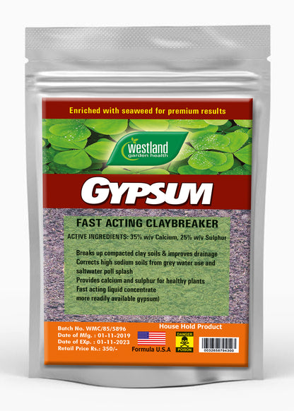 Gypsum Fertilizer For Plants - Gypsum Powder For Gardening (Imported Italy) 1 KG Pack Umbiz