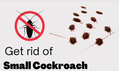 SSV Dusting Powder Kills Cockroaches Imported from Holland - Highly Effective Cockroach Killer and Crawling Insects Killer for Indoor and Outdoor Use - 100 Gram Pouch Umbiz