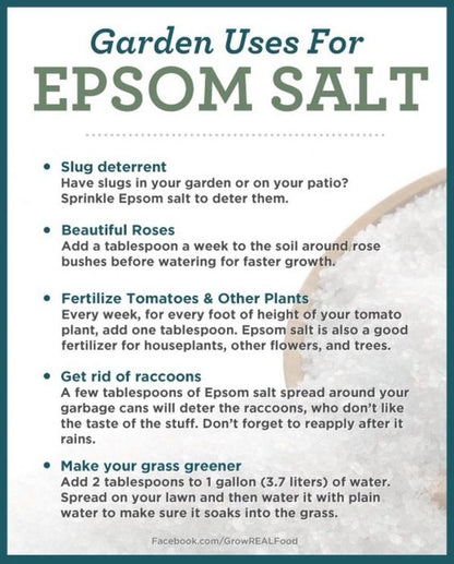 Epsom Salt For Plants 500 Grams Pack - Natural Mineral Fertilizer - Epsom Salt Bath (PAKISTAN MADE) Umbiz