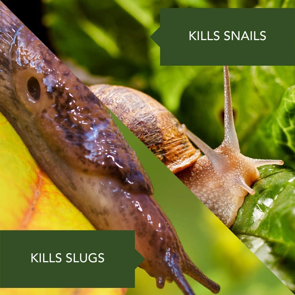 Garden Safe Slug And Snail Bait 400 grams pack (Best Quality) Umbiz
