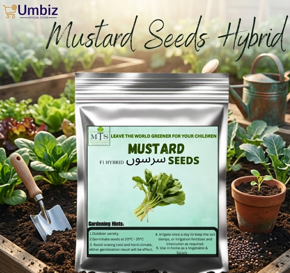 Hybrid Mustard Seeds – ( Sarson beej ) | Fresh, High Yield & Fast Growing Vegetable Seeds | Easy to Grow, Quick Germination, Dual-Purpose Mustard Greens & Seeds | Organic, Nutrient-Rich, Cool Season Seeds for Kitchen Garden, Salad & Farming UMBIZ STORE