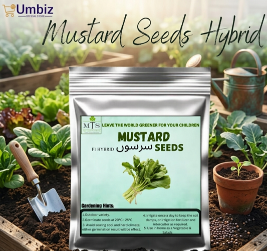 Hybrid Mustard Seeds – ( Sarson beej ) | Fresh, High Yield & Fast Growing Vegetable Seeds | Easy to Grow, Quick Germination, Dual-Purpose Mustard Greens & Seeds | Organic, Nutrient-Rich, Cool Season Seeds for Kitchen Garden, Salad & Farming UMBIZ STORE